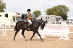 SBM_16541