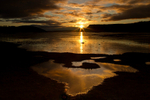 Munlochy Bay Sunrise