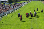 050926-Race 3-Dontlookanyfurther-3474
