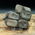 Sold vert192 Ichthyosaurus sp paddle digits
