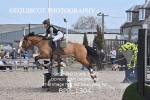BPP_1304