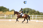 SBM_012013