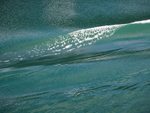 P70503260581