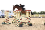 SBM_004708