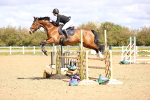 SBM_003651