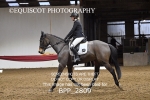 BPP_2809