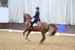 SBM_001151