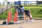 Cls 39, Amateur Tour with Jump Off portfolio