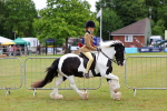 SBM_02626