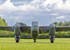 _MG_9198