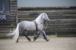 SBM_004057