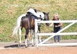 BPP_1993