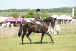 SBM_09566