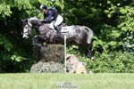 311-BALLYCOSKERRY_REGAL_DIAMOND-Hollie_Swain-XC portfolio
