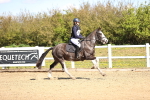SBM_001154