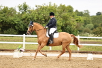 SBM_005360