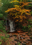 Tiger's Clough