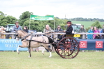 SBM_05940