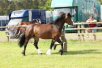 SBM_02202