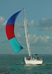 081009 MITRA 8CDX0150