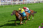 110726-Race 4-Raammee-0270