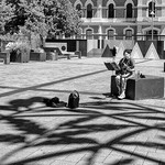 Audience