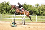 Class 11 - Senior Newcomers - 1.10m portfolio