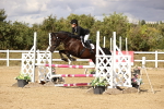 SBM_008591