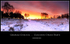 Cannock Chase Dawn