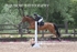 BPP_1639