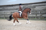 SBM_005934