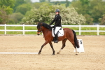 SBM_005258