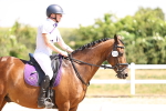 SBM_003735