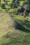 Ilam-43