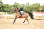 SBM_025457