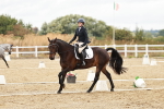 SBM_003753
