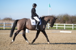 SBM_004432