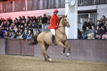 SBM_007056