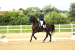 SBM_006708
