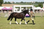 SBM_09234
