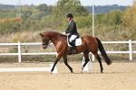 SBM_018715