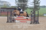 BPP_2817