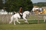 SBM_10252