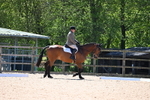 WJ6_0906