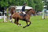 EQUISCOT 9259