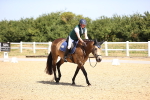 SBM_009505