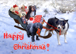X45  We've brought Santa's Sleigh