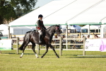 SBM_20076
