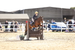 SBM_001663