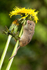 20140405-3K8A9854